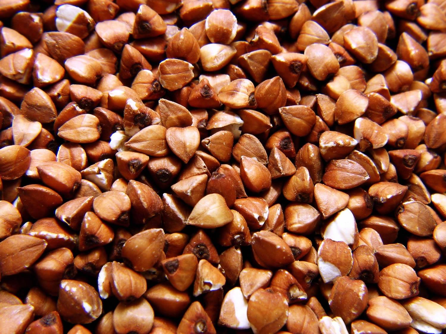 buckwheat