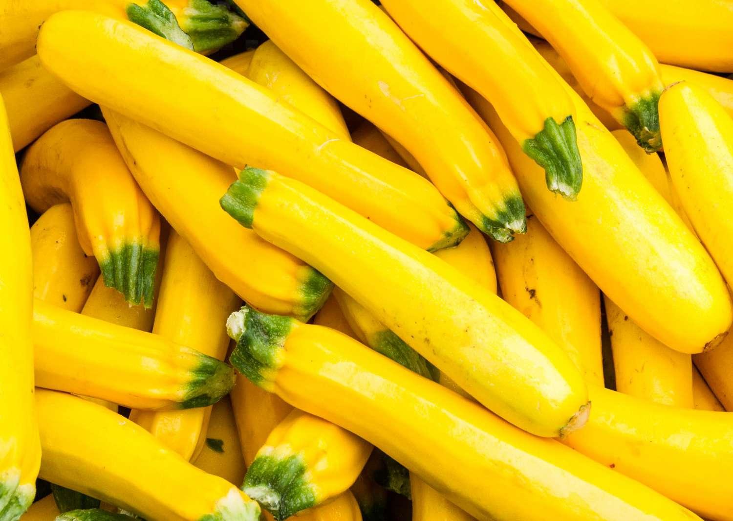 squash