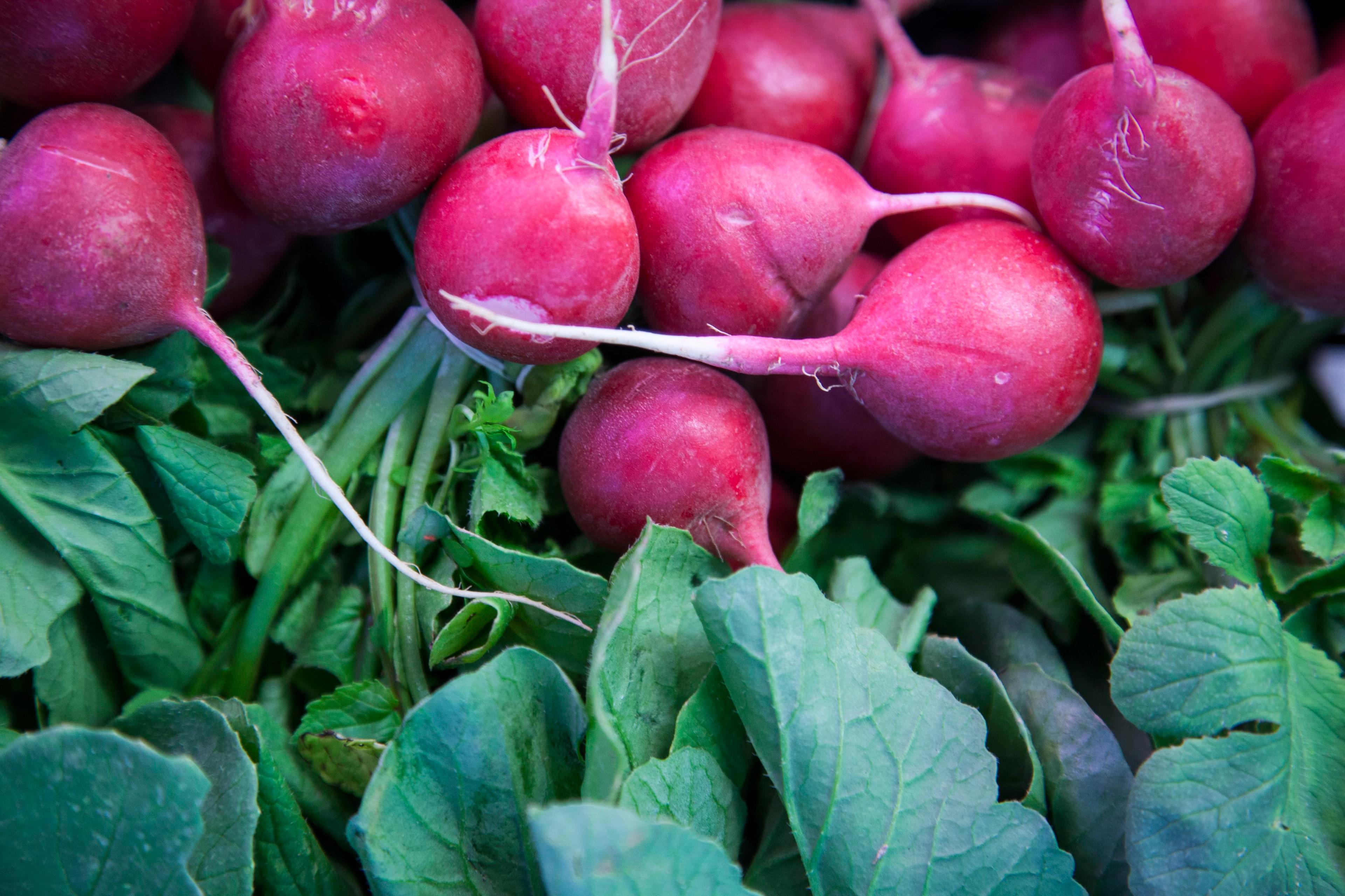turnip